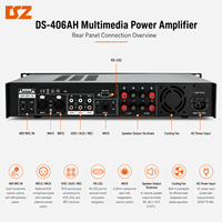 Amplificateur de karaoké professionnel DSZ DS-406AH 600W 60Hz-18KHz avec boîtier métallique pour salles de conférence et centres de formation