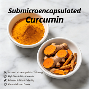 Nouvelle Curcumine Submicronique à Biodisponibilité Améliorée, Poudre d'<span class=keywords><strong>Extrait</strong></span> <span class=keywords><strong>de</strong></span> Curcuma Biologique Soluble dans l'Eau, Approvisionnement en Vrac - Product Image 1