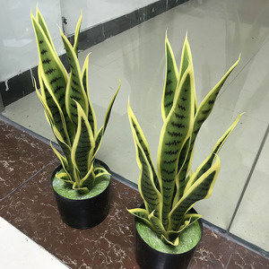 50cm 16 <span class=keywords><strong>hojas</strong></span> bonsái serpiente planta plástico borde amarillo serpiente artificial planta - Product Image 4