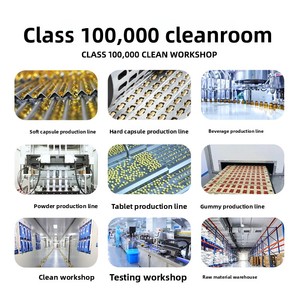 Comprimés de Complexe de <span class=keywords><strong>Vitamine</strong></span> <span class=keywords><strong>B</strong></span> OEM avec Canneberge et Orange Sanguine pour Adultes - Non Destiné aux Femmes Enceintes 60 Comprimés Soutien Énergétique - Product Image 5