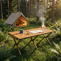 Table de camping pliable en aluminium, légère et portable, avec sac de transport pour barbecue en plein air, plage