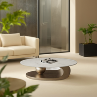Lumière de luxe de haute qualité marbre haut en acier inoxydable cadre salon meubles prix de gros ovale doré Centre Table basse