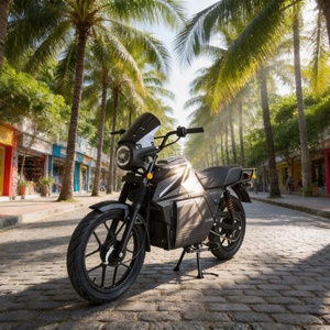 Motocicleta Eléctrica E50 de Cero Emisiones, con Batería Extraíble de Accionamiento Central, <span class=keywords><strong>Moto</strong></span> Urbana Ecológica para el Mercado Sudamericano - Product Image 3