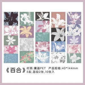 10 tờ/gói Frosted Pet Sticker gói vật liệu sáng tạo máy tính xách tay điện thoại di động trở lại thẻ DIY trang trí Sticker - Product Image 6