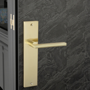 Manija de placa de aluminio/acero inoxidable Rectangular de estilo español, manija de placa Ovalada para puertas de madera interiores o exteriores - Product Image 5