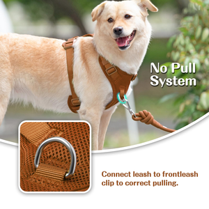 Arnés Ajustable de Nailon Suave y Transpirable para Perros, con Correa para el Pecho y Collar para Cachorros, Gatos y Mascotas Pequeñas, Talla M, en Stock - Product Image 5