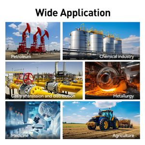 Çoklu gaz karbon dioksit gaz jeneratörü amonyak ölçüm cihazı hava örnekleme pompası hava oksijen ölçümü - Product Image 6