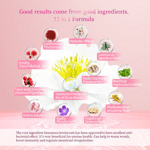 Prof.Ding RTS/OEM Großhandel Kräuter Wingless <span class=keywords><strong>Pads</strong></span> Yoni Damen binden Baumwolle Detox Anti-Juckreiz Entfernen Sie Geruch Kräuter Panty Liner - Product Image 6