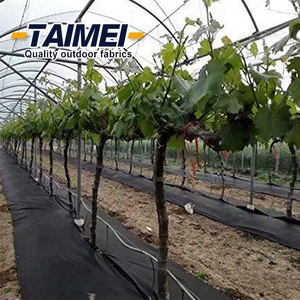 الثقيلة الأشعة فوق البنفسجية استقرت المناظر الطبيعية غطاء أرضية بلاستيكي غشاء - Product Image 2