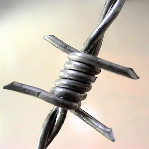 Fil barbelé galvanisé de haute qualité avec revêtement PVC - Bobine - Étanche - Durable - Clôture pour ferme et <span class=keywords><strong>chantier</strong></span> - <span class=keywords><strong>Prix</strong></span> usine - Product Image 2