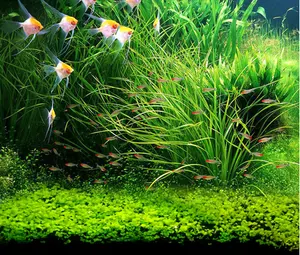 Simulatie Kunstmatige Zeebodem Simulatie Coral Landschap Fish Simulatie Van Coral Aquarium Coral - Product Image 1