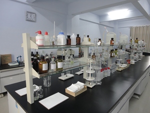 Aditivo de Nutrición Animal de pureza 98.5% de <span class=keywords><strong>base</strong></span> de L-lisina al por mayor - Product Image 5