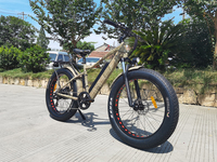Vélo électrique à pneus larges avec moteur central 48V 750W, batterie au lithium 15Ah, frein à disque hydraulique, modèle adulte, autonomie jusqu'à 50 km