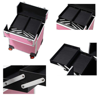 Trolley de maquillage professionnel en aluminium, grande capacité, boîte à cosmétiques, rangement pour artistes, valise de voyage avec roulettes, résistant à l'eau
