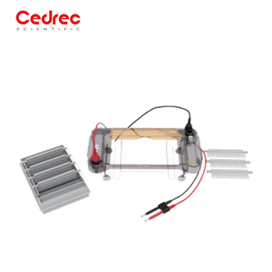 Electroforesis Vertical (Cuatro Placas) Equipo de Laboratorio para Electroforesis Vertical - Product Image 3