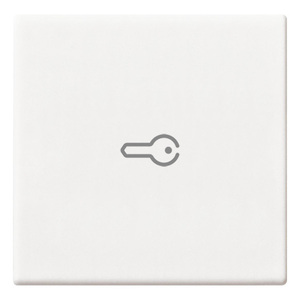 Interrupteur mural blanc avec symbole clé axiale, longueur 4,5 pouces, hauteur 0,6 pouce - Product Image 1