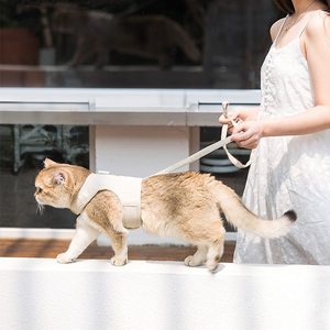 <strong>Cat</strong> Reflective Tactical and Collars Macrame Surf Board Reflective Tactical Wiring No Pull Lighter Pet Set Leash Dog <strong>Harness</strong> - Product Image 3