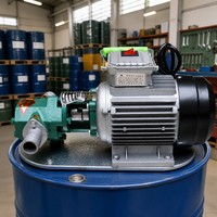 WCB 50 Gusseisen-Getriebeölpumpe 25 LPM 0,3 MPa 0,75 KW Kohlenstoffstahl-Getriebe-Motorölpumpe 1400 U/min Mit Motor B2B-Lieferung
