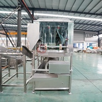 Machine à laver les cages de différentes tailles avec désinfection et nettoyage, adaptée aux abattoirs et aux usines de transformation alimentaire