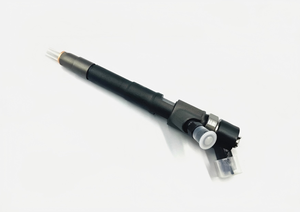 Injecteur de carburant Common Rail 0445110520 5801483286 5801594342 Injecteur diesel pour Citroën Iveco New Holland F1AE3481D - Product Image 2
