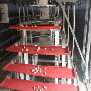 sıcak satış tavuk çiftliği yumurta tavuğu hayvan kafesleri tavuk kümesi - Product Image 4