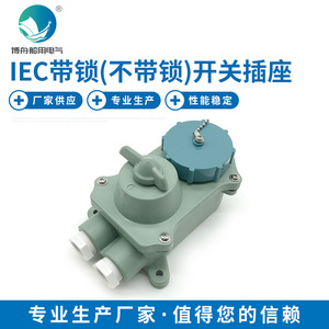 Prise de courant marine RSIL2-22 avec 3 prises AC, verrouillage mécanique IEC, prise PVC, tension nominale 125V, compatible avec les normes américaines et chinoises - Product Image 5