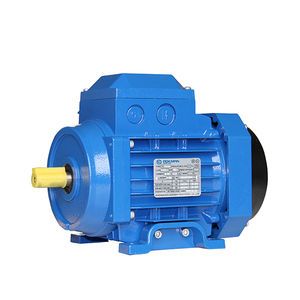 Y2 Series 0.12 kW~200 kW Three-Phase AC Induction Motor