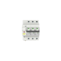 Disjoncteur intelligent R3S WIFI RS485 ZIGBEE 4G avec télécommande, disjoncteur intelligent pour maison connectée, MCB sans fil avec mesure