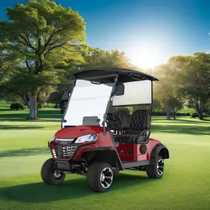 New Products Design Golf Carts Electric 2 Seater Lithium Lead Acid Baterry Low Speed Club Electric Golf Cart