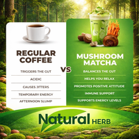 Mélange de poudre de matcha biologique premium aux champignons fonctionnels pour boissons - Thé en vrac en sachet, nouveau, 100% pur et fait main