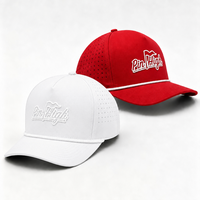 Nouvelle Casquette de Baseball en Polyester Imperméable à 5 Panneaux avec Logo Personnalisé, Découpée au Laser et Perforée, Style Papa, pour le Sport et le Golf