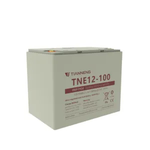 Tianneng Motive 12v 100ah Lead Acid Battery For Electric Tricycle