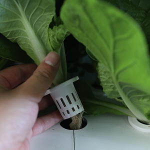 Trung Quốc Nhà sản xuất thủy canh tháp thiết bị 4 lớp - Product Image 2