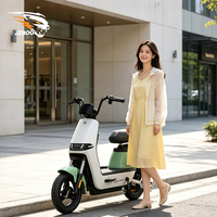 Vélo de ville électrique avec moteur de moyeu arrière et cadre numérique intelligent en acier au carbone pour vélo électrique à vitesse unique
