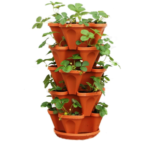 Maceta de fresa de plástico apilable <span class=keywords><strong>con</strong></span> <span class=keywords><strong>ruedas</strong></span> y herramientas extraíbles - Product Image 6