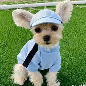 Gorra de béisbol coreana bonita de Color sólido para mascotas, protección solar ajustable, sombrero con visera para perros, gatos, Teddy Corgi, accesorio de Halloween - Product Image 3