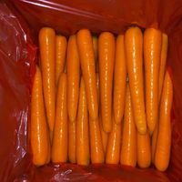 Zanahorias Frescas de Nueva Cosecha 2026, Shandong, Alta Calidad, Sabor Dulce y Crujiente, Alto Contenido de Vitaminas, Certificación GAP, Tamaños de 80-350g, Bolsa de PE de 10kg/20kg