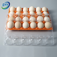 Barquette en PET coloré de qualité alimentaire, type carton à œufs, avec base et couvercle détachables, antichoc, empilable, impression personnalisée OEM, RPET direct