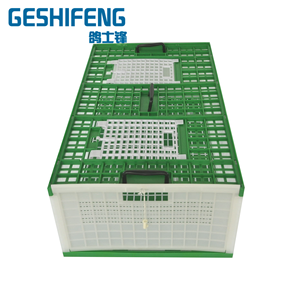 Jaula Plegable <span class=keywords><strong>de</strong></span> Plástico para <span class=keywords><strong>Palomas</strong></span> <span class=keywords><strong>de</strong></span> Entrenamiento <span class=keywords><strong>de</strong></span> 75 cm, Jaulas Plegables para Transporte <span class=keywords><strong>de</strong></span> <span class=keywords><strong>Palomas</strong></span> - Product Image 3