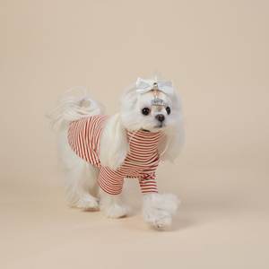 เสื้อผ้าสัตว์เลี้ยง ZHONGYA รุ่นใหม่ สไตล์เกาหลี ลายทาง ผ้ากำมะหยี่นุ่มสบาย สำหรับสุนัขพันธุ์เกรย์ฮาวด์ ยอร์คเชียร์ เทอร์เรีย และนอร์เวย์เรเดอร์ สำหรับฤดูใบไม้ร่วงและฤดูหนาว - Product Image 4