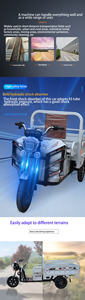 Multifunctional 800W Tricycles With Roof 3 Wheels Dirt <b>Bike</b> Adult Motorcycles Tricycles 800w - Product Image 6