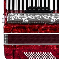 Accordéon professionnel 34 touches 60 basses, instrument de musique pour adulte, idéal pour les examens, la pratique solo et les performances