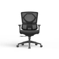 Chaise de bureau ergonomique moderne en PP, hauteur réglable, dossier respirant, inclinable pour un confort prolongé, idéale pour le personnel informatique