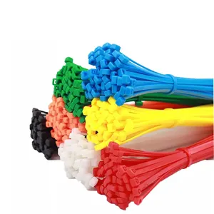 4.8*300mm Suppliers Nylon Customized Cord Tags Self ocking Cable Marker Ties