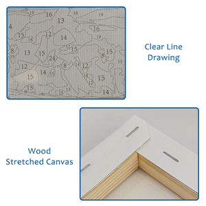 Handpainted Dành Cho Người Lớn Sơn Bằng Số Bộ Dụng Cụ, Tự Làm Sơn Bằng Số Cho Nhà Tường Nghệ Thuật Trang Trí Nội Thất Quà Tặng - Product Image 4