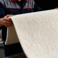 Coussin de chaise en feutre de laine 1-60 mm, teignable, antichoc, isolant thermique, confort durable
