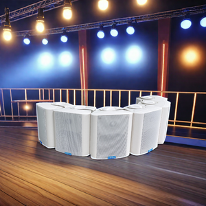 Haut-parleur intelligent mural POE 30W Équipement de sonorisation amplifié - Product Image 6