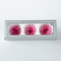 Lovebay Naturel Longue Durée 7-8cm Austin Roses Tête Immortel Pour Toujours Éternel Préservé Roses Tête dans une Boîte pour Cadeau Saint Valentin