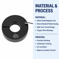 Transformador de Corriente Toroidal de Núcleo Dividido de Alta Precisión Clase 0.5 Tipo Abierto CT para Medición de Energía de Precisión
