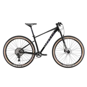 2022 SUNPEED ACE Sport Luxury Fashion 12 Speed Aluminium Alloy Mountain Bike